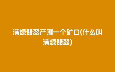 满绿翡翠产哪一个矿口(什么叫满绿翡翠)