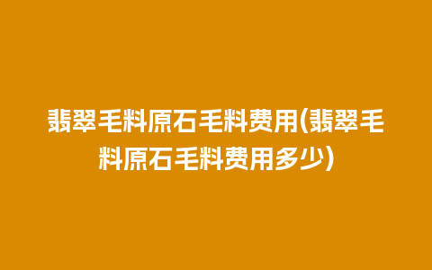 翡翠毛料原石毛料费用(翡翠毛料原石毛料费用多少)