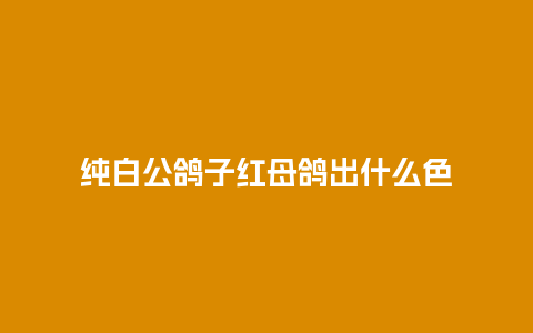 纯白公鸽子红母鸽出什么色