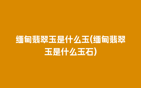 缅甸翡翠玉是什么玉(缅甸翡翠玉是什么玉石)