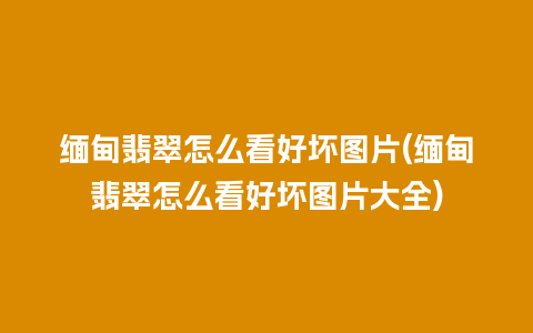 缅甸翡翠怎么看好坏图片(缅甸翡翠怎么看好坏图片大全)