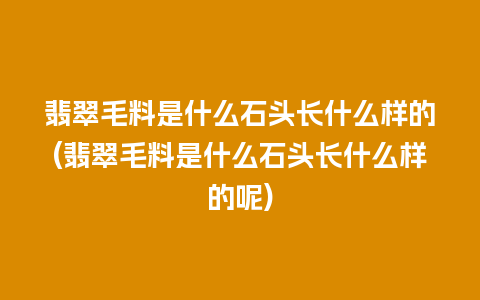 翡翠毛料是什么石头长什么样的(翡翠毛料是什么石头长什么样的呢)