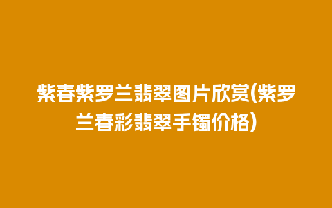 紫春紫罗兰翡翠图片欣赏(紫罗兰春彩翡翠手镯价格)