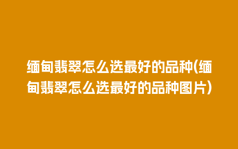 缅甸翡翠怎么选最好的品种(缅甸翡翠怎么选最好的品种图片)