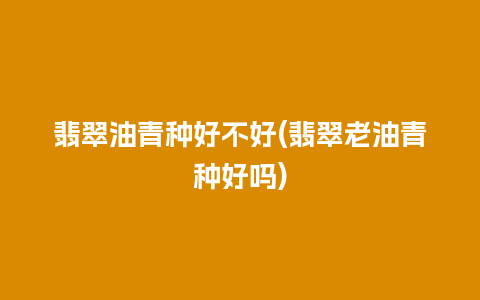 翡翠油青种好不好(翡翠老油青种好吗)