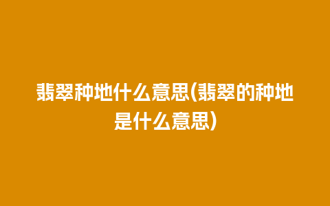 翡翠种地什么意思(翡翠的种地是什么意思)