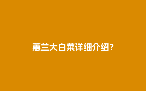 蕙兰大白菜详细介绍？