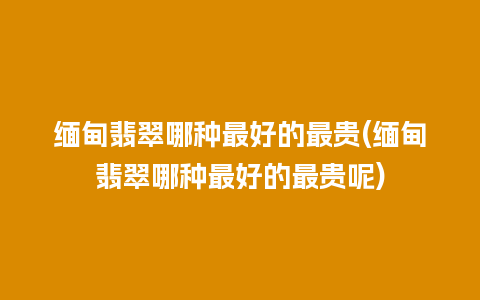 缅甸翡翠哪种最好的最贵(缅甸翡翠哪种最好的最贵呢)