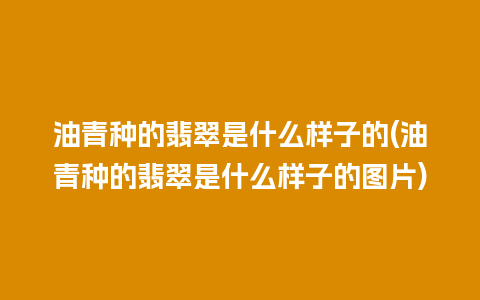 油青种的翡翠是什么样子的(油青种的翡翠是什么样子的图片)