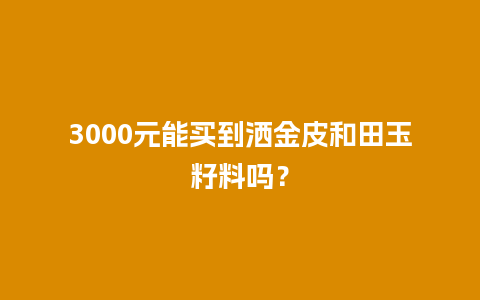 3000元能买到洒金皮和田玉籽料吗？