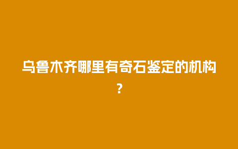 乌鲁木齐哪里有奇石鉴定的机构？