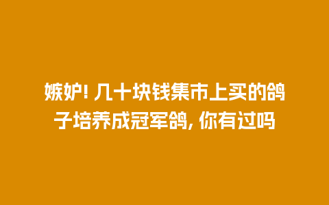 嫉妒! 几十块钱集市上买的鸽子培养成冠军鸽, 你有过吗