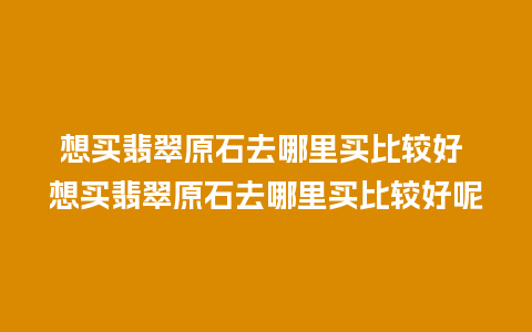 想买翡翠原石去哪里买比较好 想买翡翠原石去哪里买比较好呢
