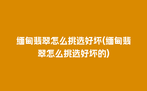 缅甸翡翠怎么挑选好坏(缅甸翡翠怎么挑选好坏的)
