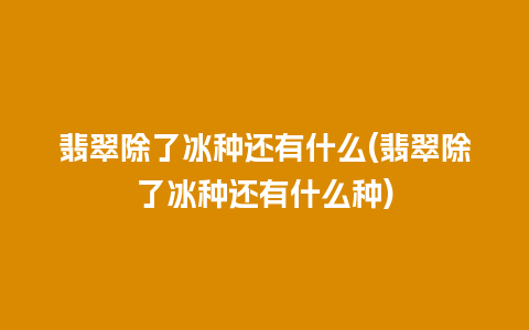 翡翠除了冰种还有什么(翡翠除了冰种还有什么种)