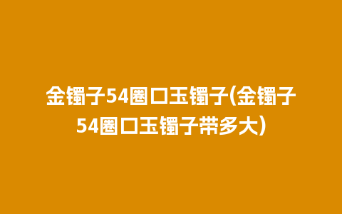 金镯子54圈口玉镯子(金镯子54圈口玉镯子带多大)