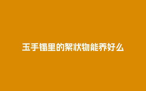 玉手镯里的絮状物能养好么