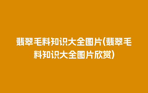 翡翠毛料知识大全图片(翡翠毛料知识大全图片欣赏)