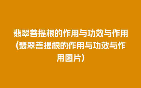 翡翠菩提根的作用与功效与作用(翡翠菩提根的作用与功效与作用图片)