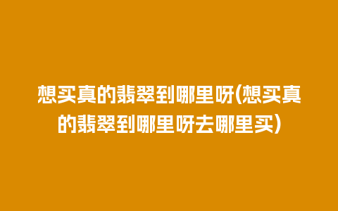 想买真的翡翠到哪里呀(想买真的翡翠到哪里呀去哪里买)