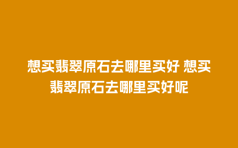 想买翡翠原石去哪里买好 想买翡翠原石去哪里买好呢