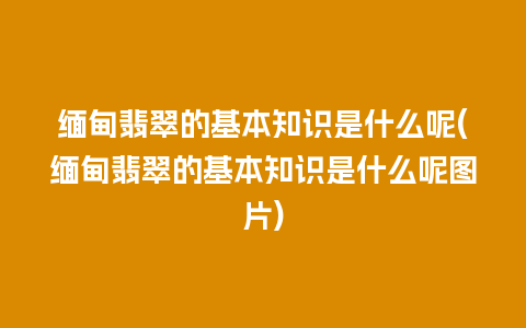 缅甸翡翠的基本知识是什么呢(缅甸翡翠的基本知识是什么呢图片)