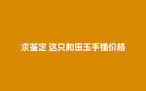 求鉴定 这只和田玉手镯价格