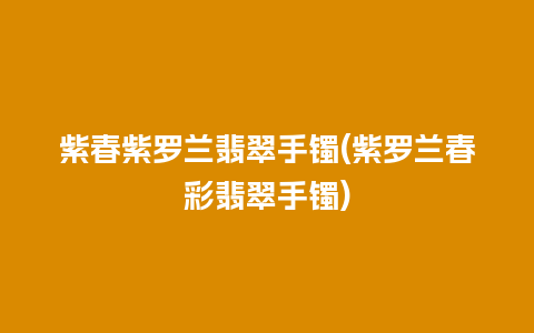 紫春紫罗兰翡翠手镯(紫罗兰春彩翡翠手镯)