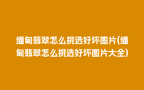 缅甸翡翠怎么挑选好坏图片(缅甸翡翠怎么挑选好坏图片大全)