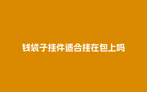 钱袋子挂件适合挂在包上吗