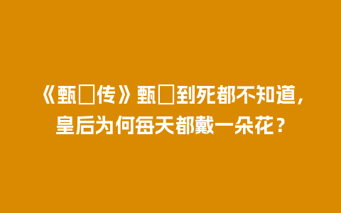 《甄嬛传》甄嬛到死都不知道，皇后为何每天都戴一朵花？