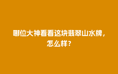 哪位大神看看这块翡翠山水牌，怎么样？