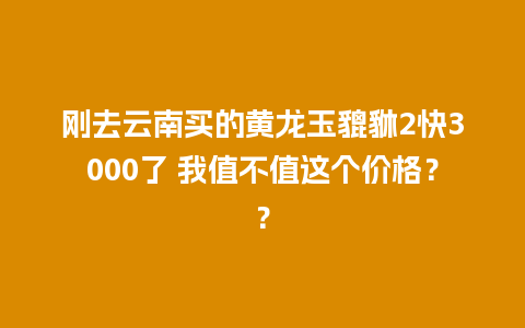 刚去云南买的黄龙玉貔貅2快3000了 我值不值这个价格？？