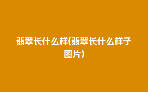 翡翠长什么样(翡翠长什么样子图片)