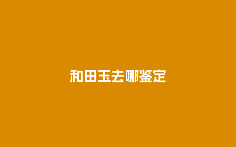 和田玉去哪鉴定