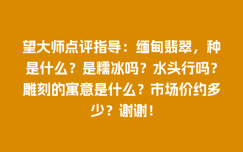 望大师点评指导：缅甸翡翠，种是什么？是糯冰吗？水头行吗？雕刻的寓意是什么？市场价约多少？谢谢！