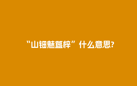 “山钿魅簋梓”什么意思?