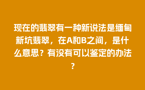 现在的翡翠有一种新说法是缅甸新坑翡翠，在A和B之间，是什么意思？有没有可以鉴定的办法？