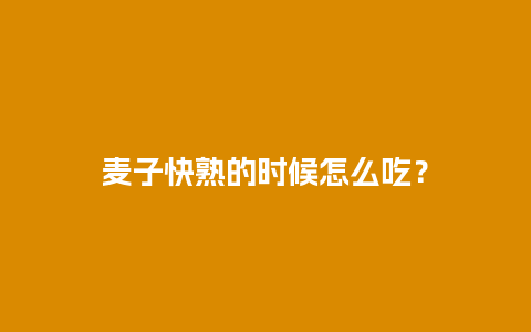 麦子快熟的时候怎么吃？