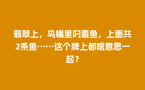 翡翠上，鸟嘴里叼着鱼，上面共2条鱼……这个牌上都啥意思一起？