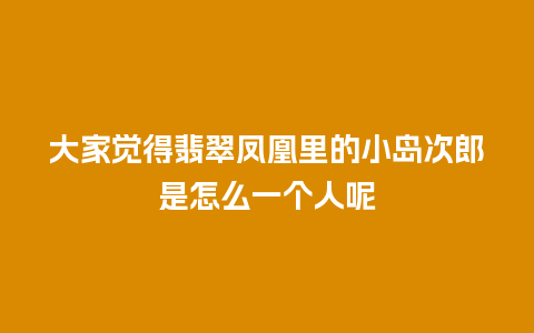 大家觉得翡翠凤凰里的小岛次郎是怎么一个人呢