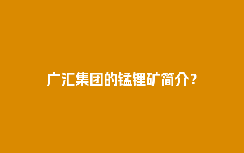 广汇集团的锰锂矿简介？