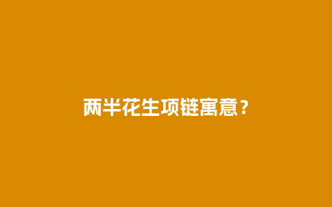 两半花生项链寓意？