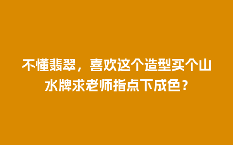 不懂翡翠，喜欢这个造型买个山水牌求老师指点下成色？