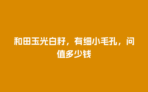 和田玉光白籽，有细小毛孔，问值多少钱