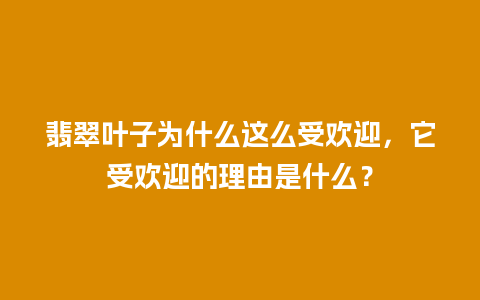 翡翠叶子为什么这么受欢迎，它受欢迎的理由是什么？