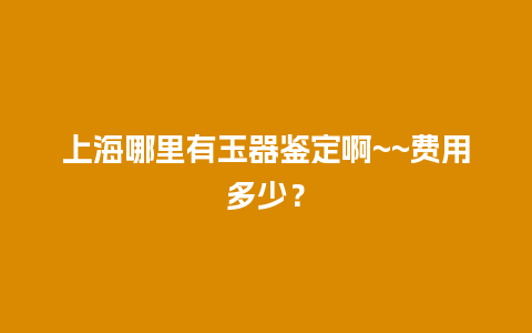 上海哪里有玉器鉴定啊~~费用多少？