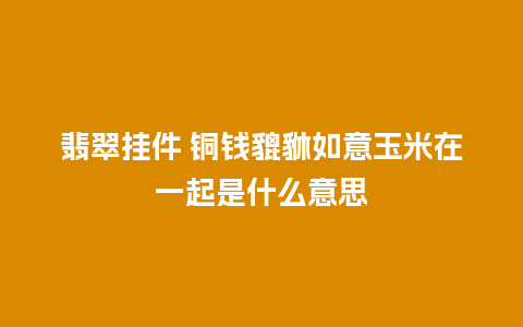 翡翠挂件 铜钱貔貅如意玉米在一起是什么意思