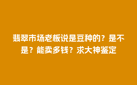 翡翠市场老板说是豆种的？是不是？能卖多钱？求大神鉴定