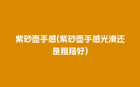 紫砂壶手感(紫砂壶手感光滑还是粗糙好)